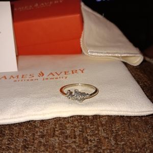 JAMES AVERY TEXAS HOME RING